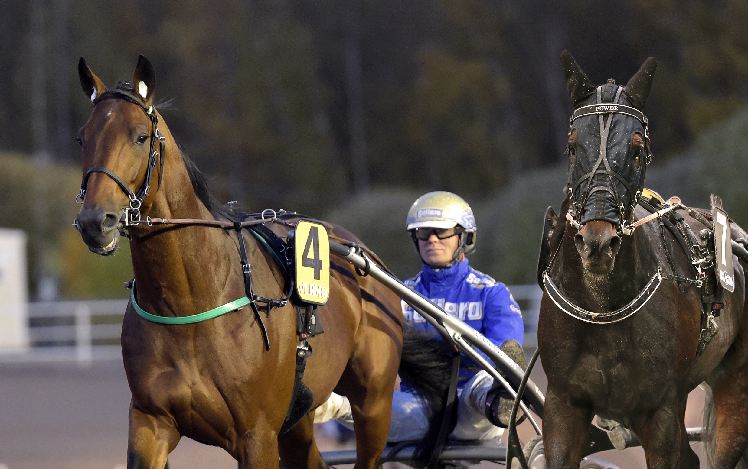 PRIX D'AMÉRIQUE: Power - och imponerande Goop