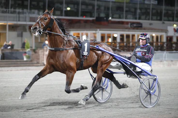 Flash Express heat 1