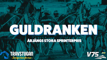 GULDRANKEN ARJ