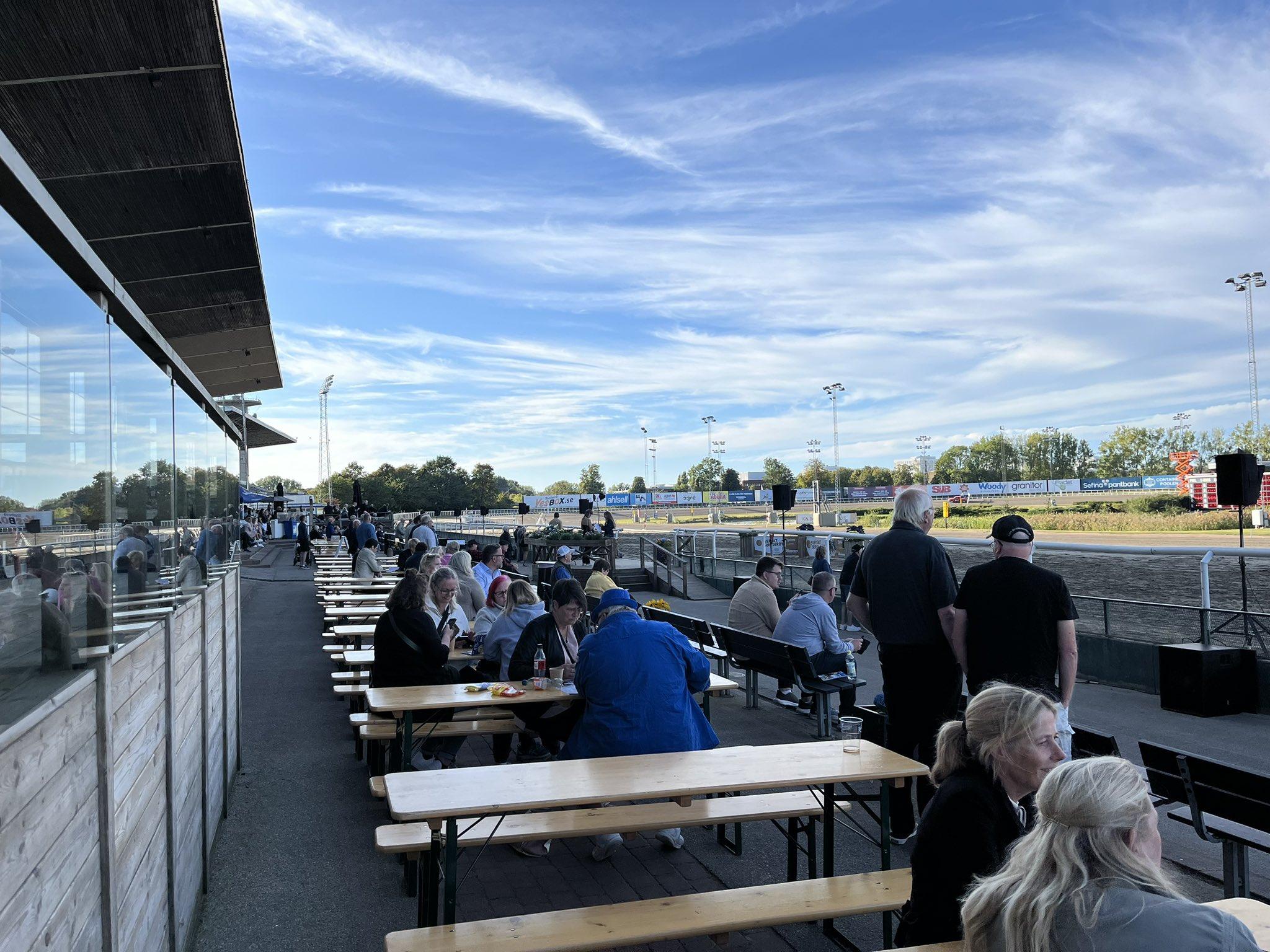 Människans bästa vän räddar oss