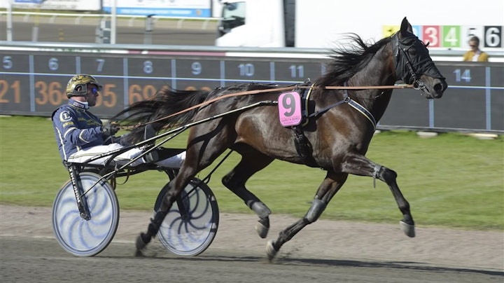 kuinka vetäytyä europe fortune