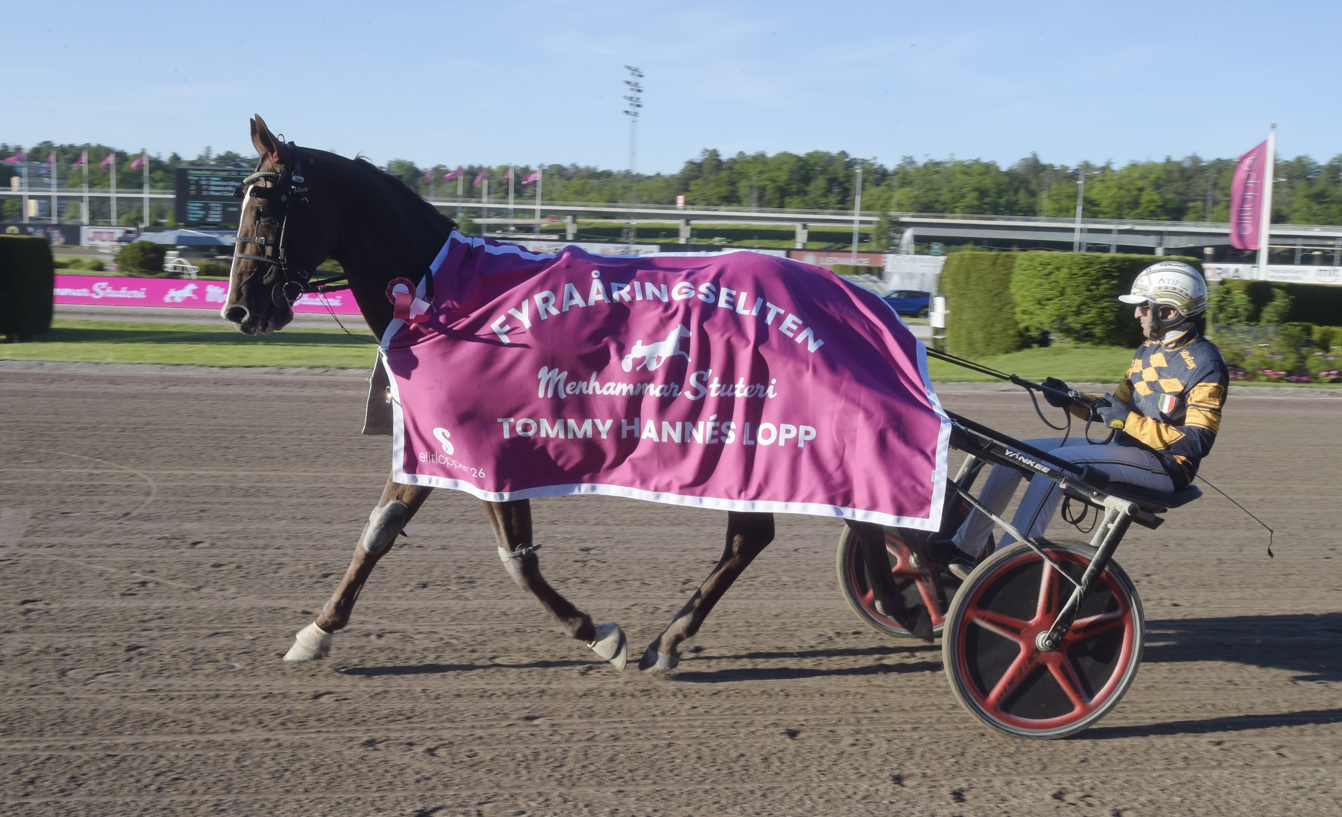 32 hästar i SprinterMästaren