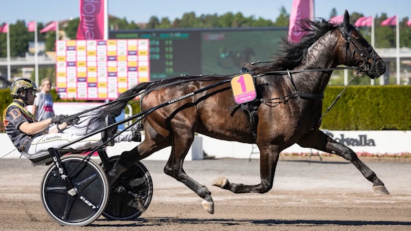 HUSTLE RAIN heat2 forsok