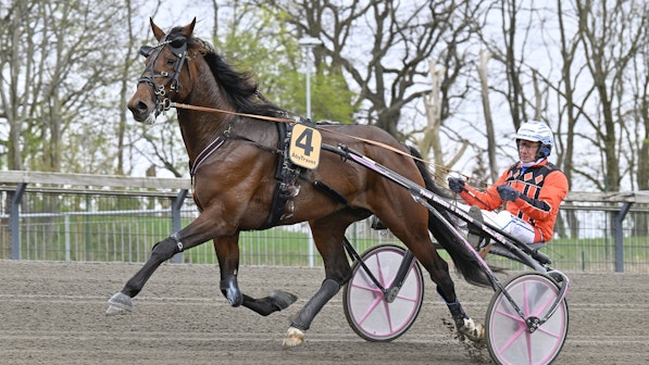 I D Hipster One heat 2