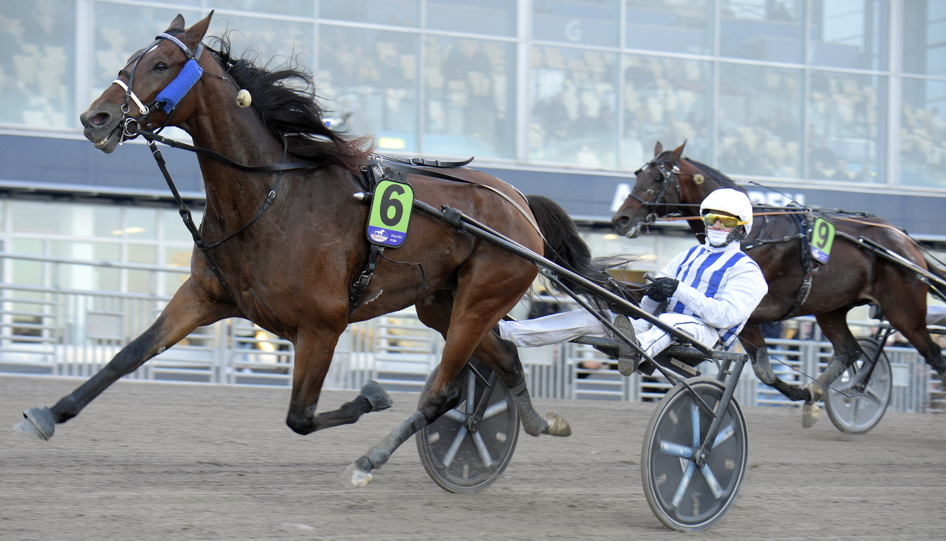 Vem följer i Inexess Bleus fotspår?