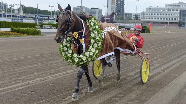 Joviality segerdefilerar