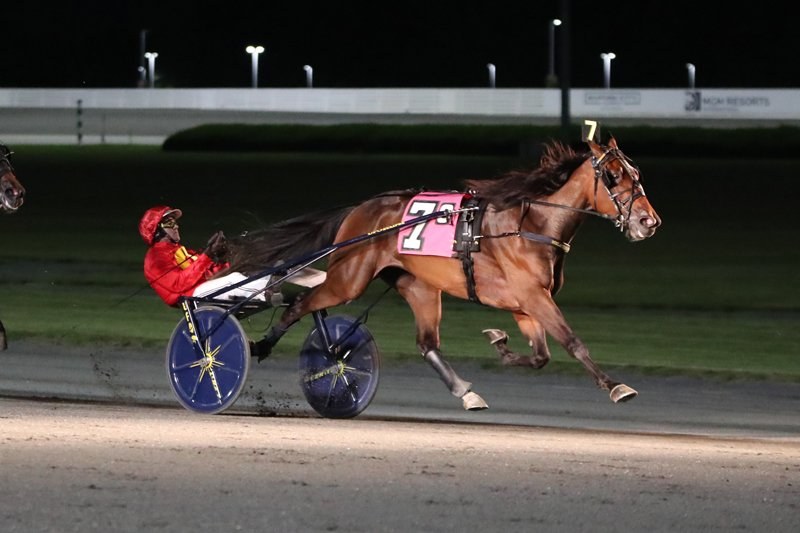 Joviality S Yonkers Trot