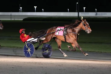 Joviality S Yonkers Trot