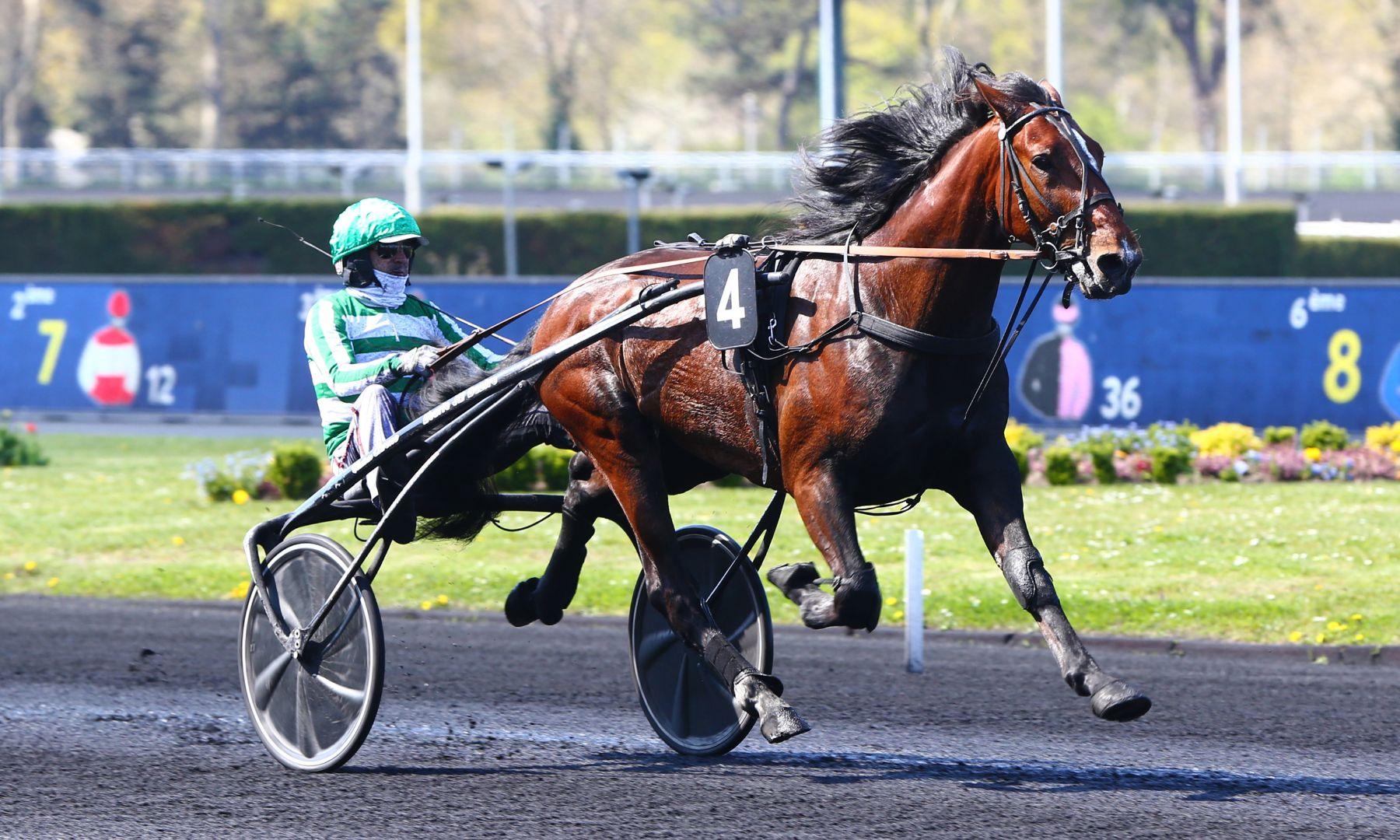 Jushua Tree Rentree am 19 August