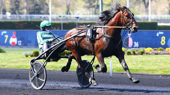 Jushua Tree Rentree am 19 August