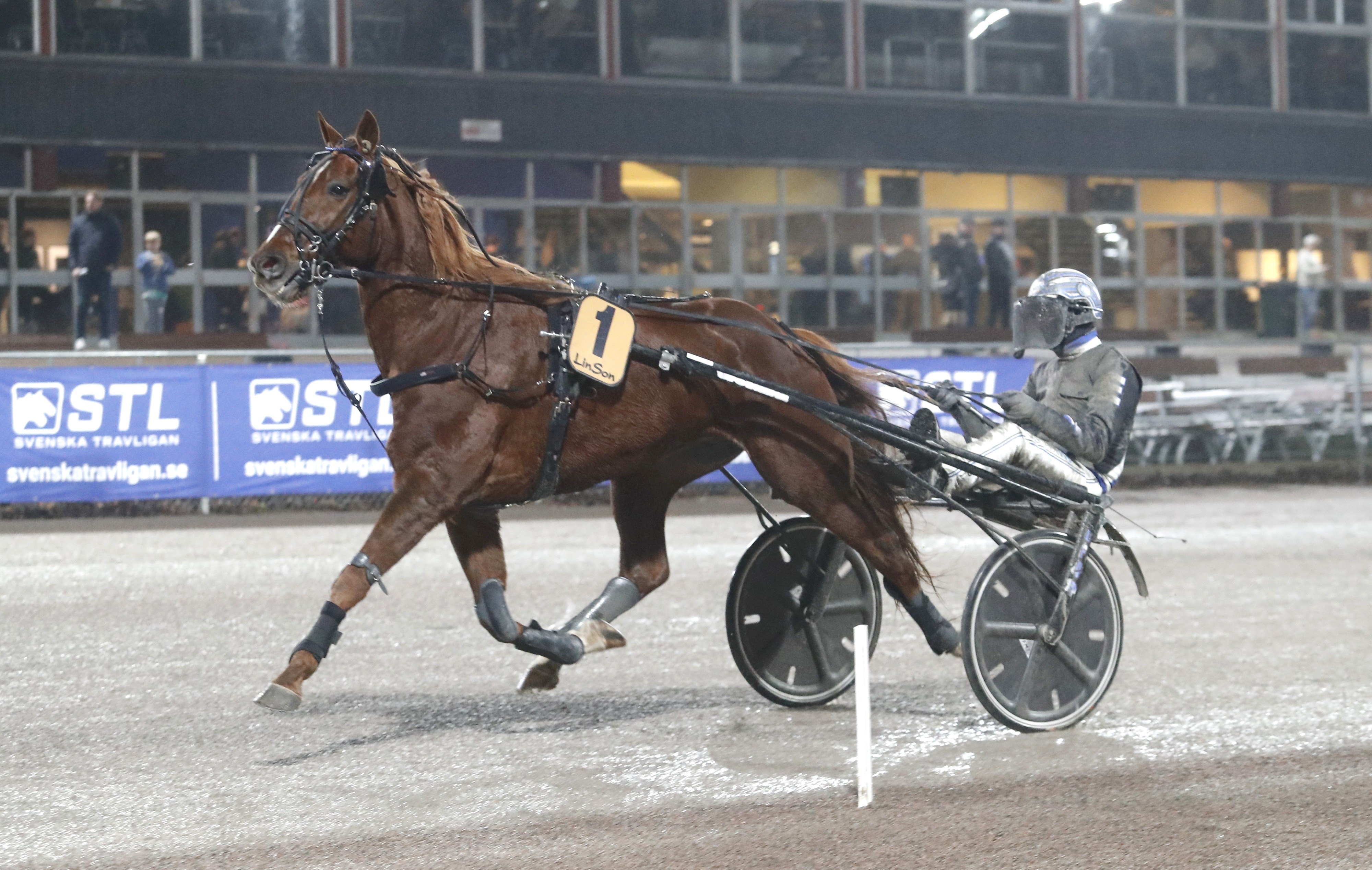 King Only the One heat 1