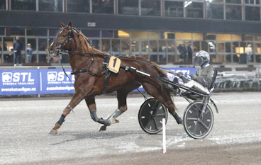 King Only the One heat 1