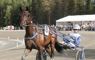 Kingen Mearas def 1
