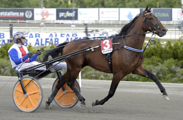 L Amourpourblanca heat