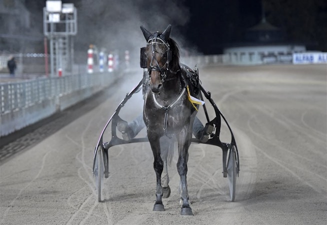 La Verite med segerrosett