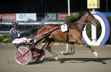 Luca Barosso heat 1