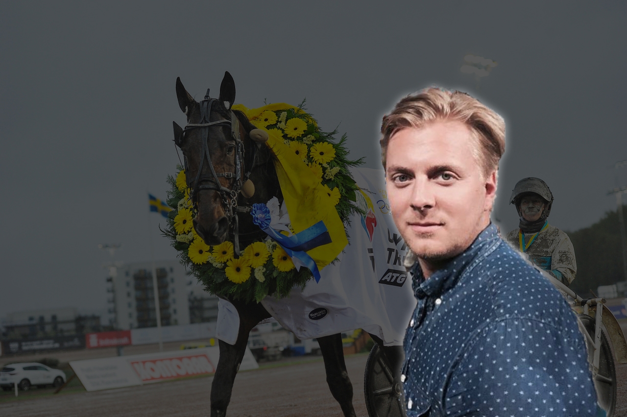 M Attias pettersson vm i v75