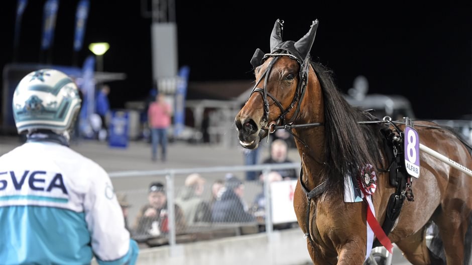 Ny kusk bakom segerstoet