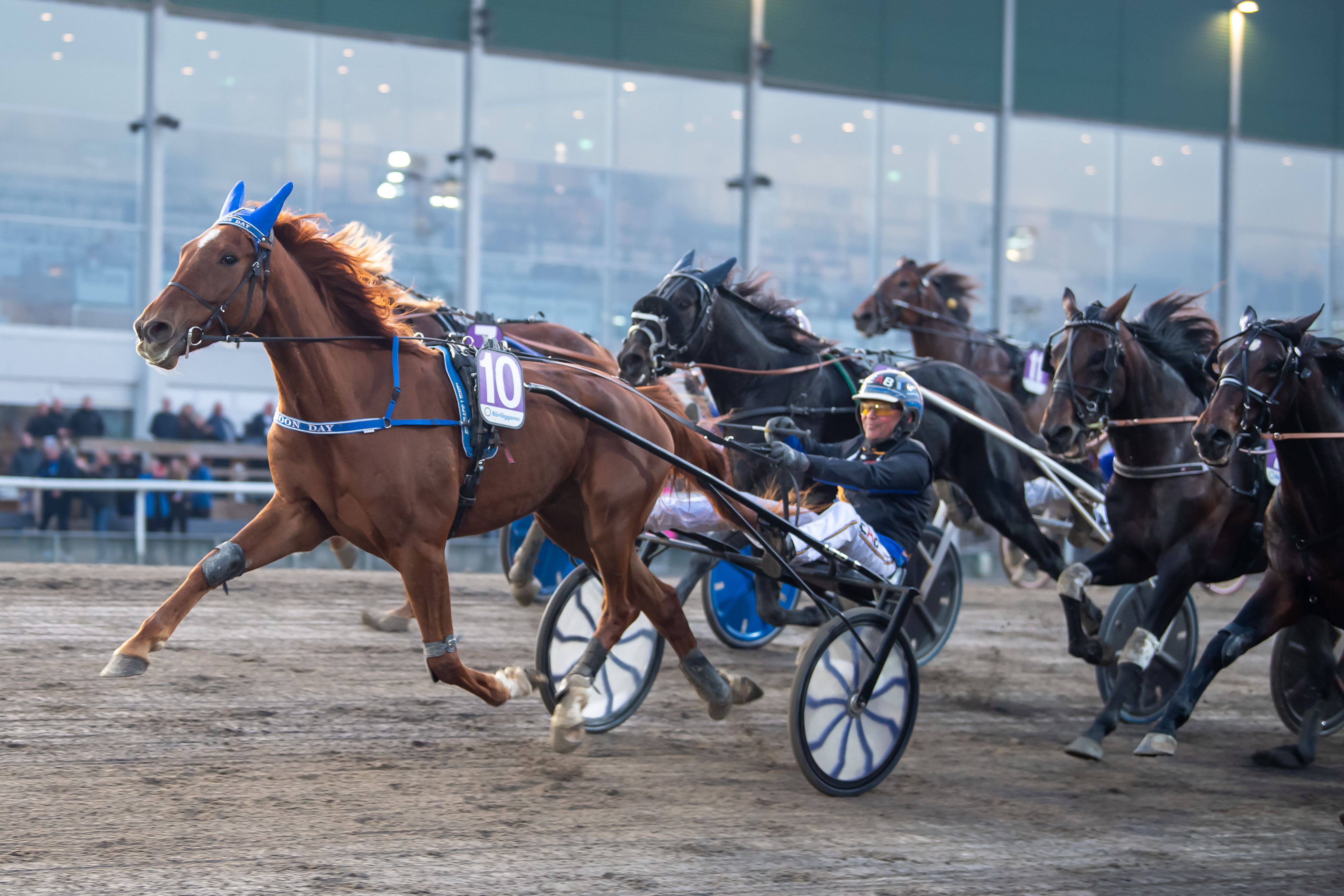 Maroon Day ma lga ng2 2