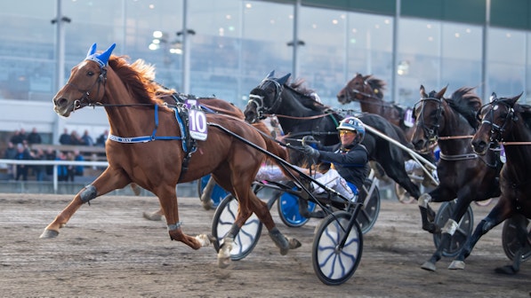 Maroon Day ma lga ng2 2