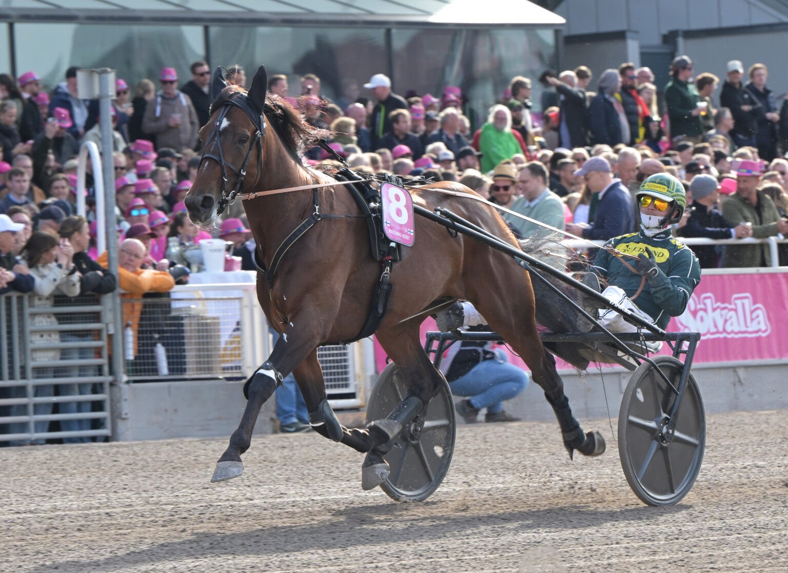 Massimo Hoist 1536x1117