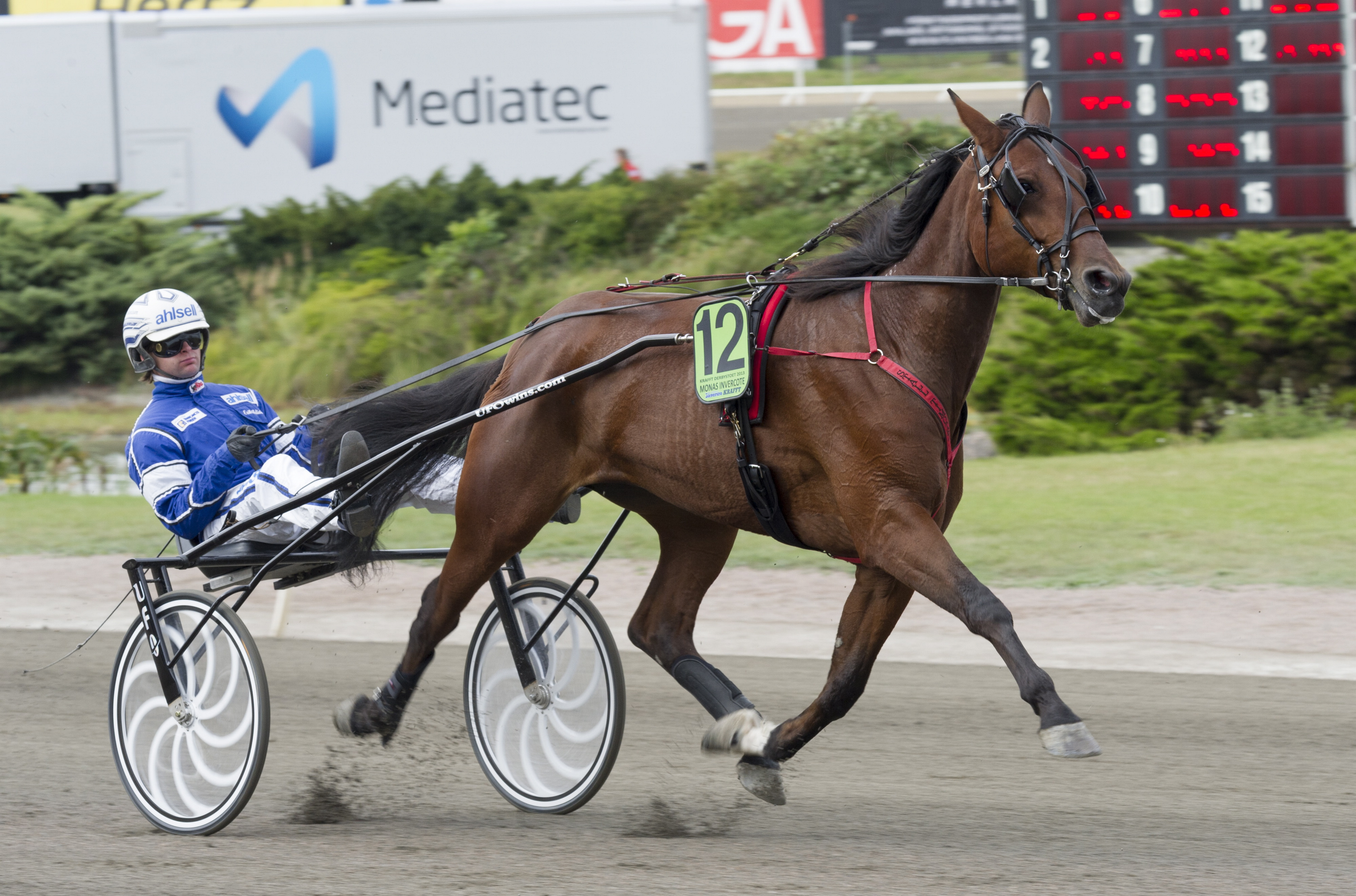 Avkomma undan stostjärnan i debut