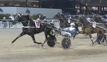 Nephtys Boko mal 3