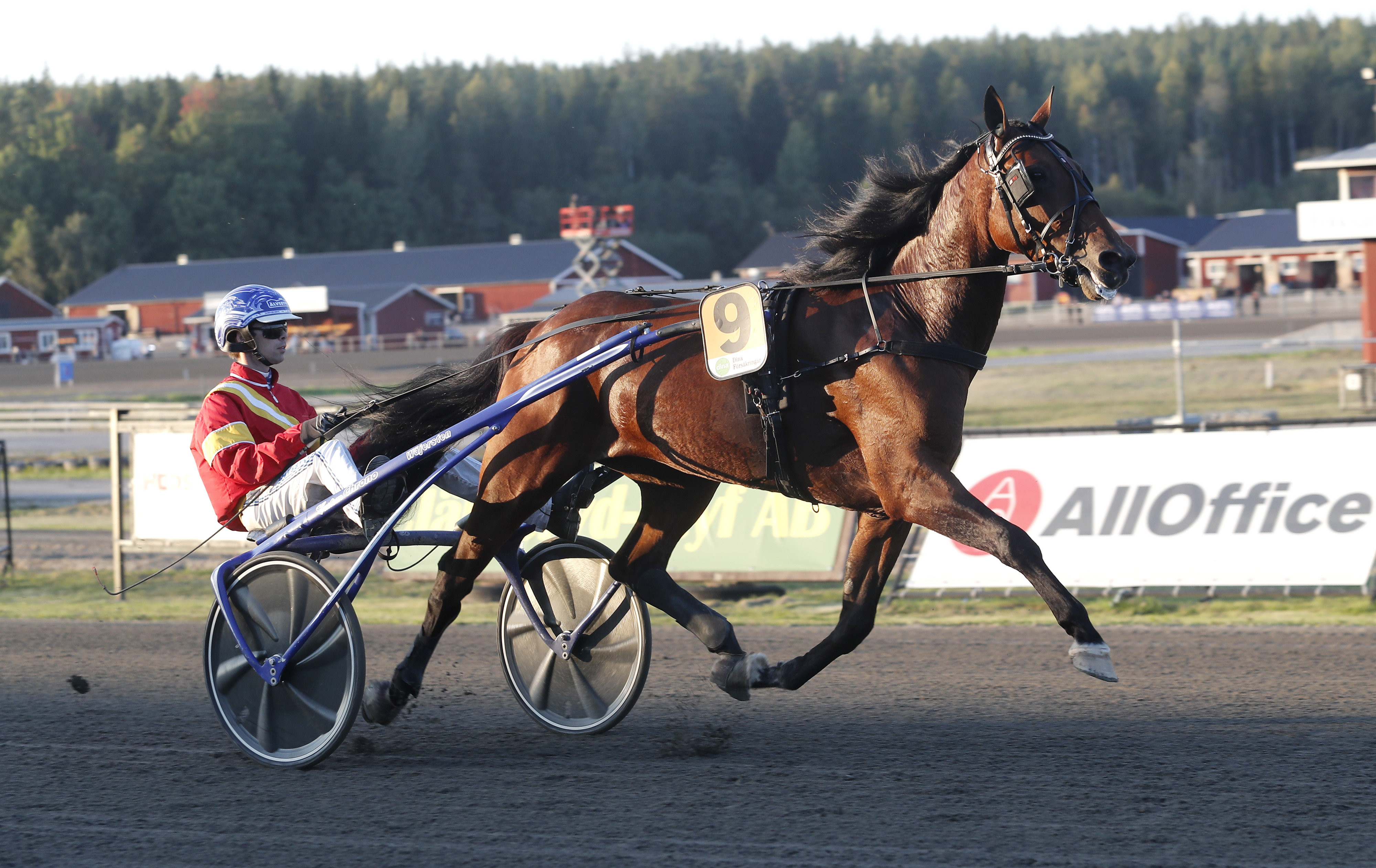 Not for Sale heat 1