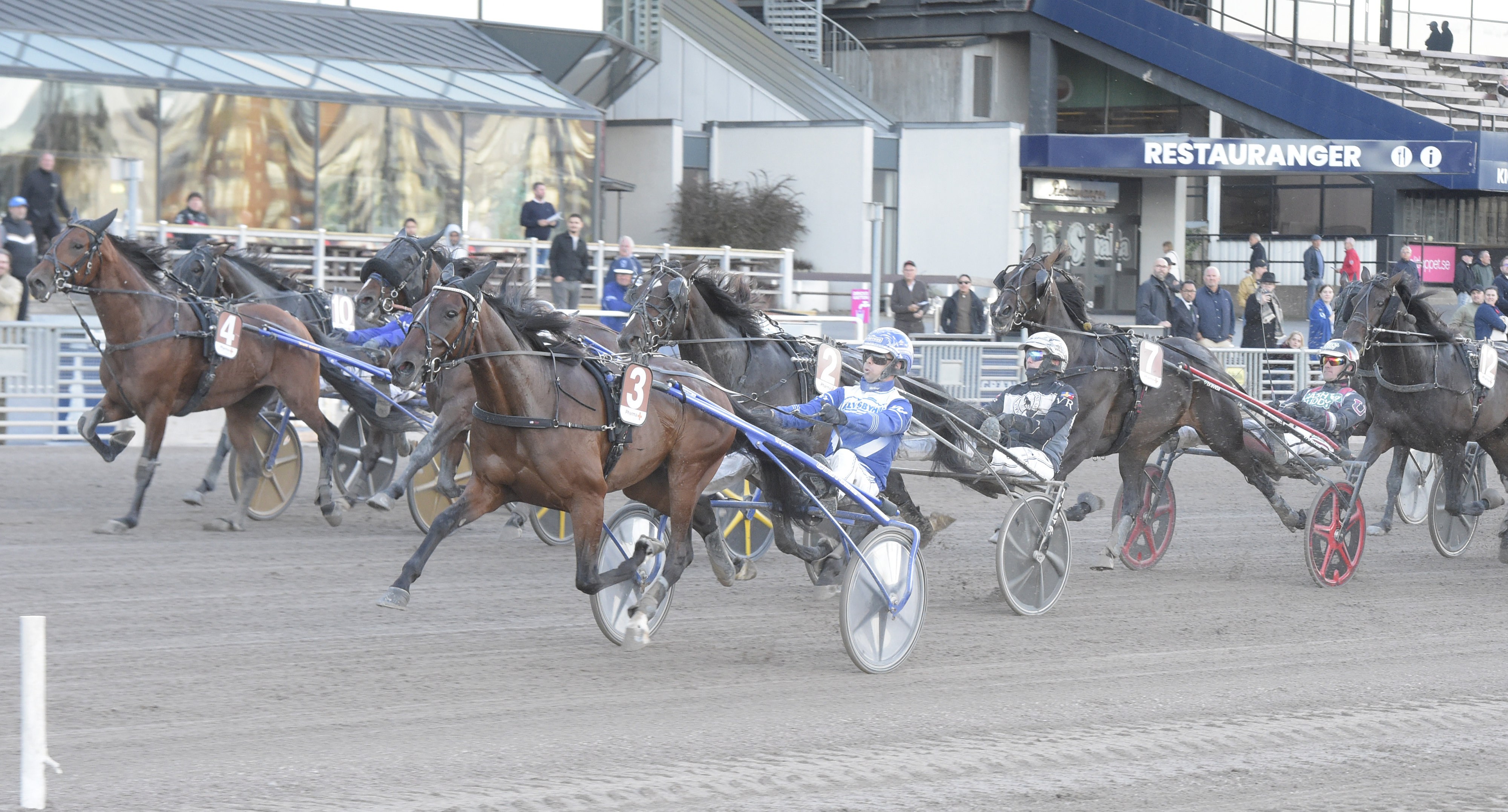 Glädjeämnen på Solvalla