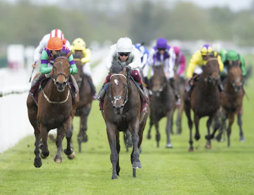Palace Pier Queen Anne Stakes 1