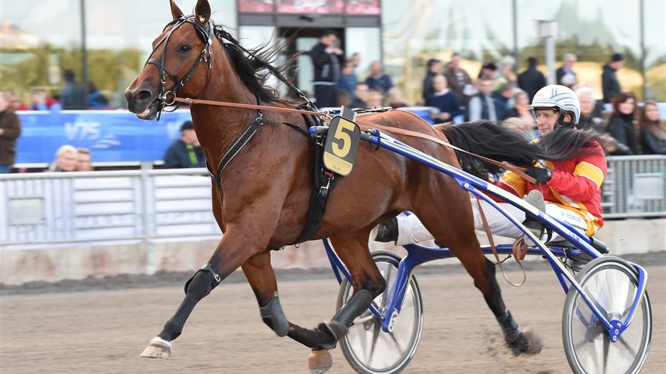 Inför Åby Stora Pris: "Precis det vi önskade"