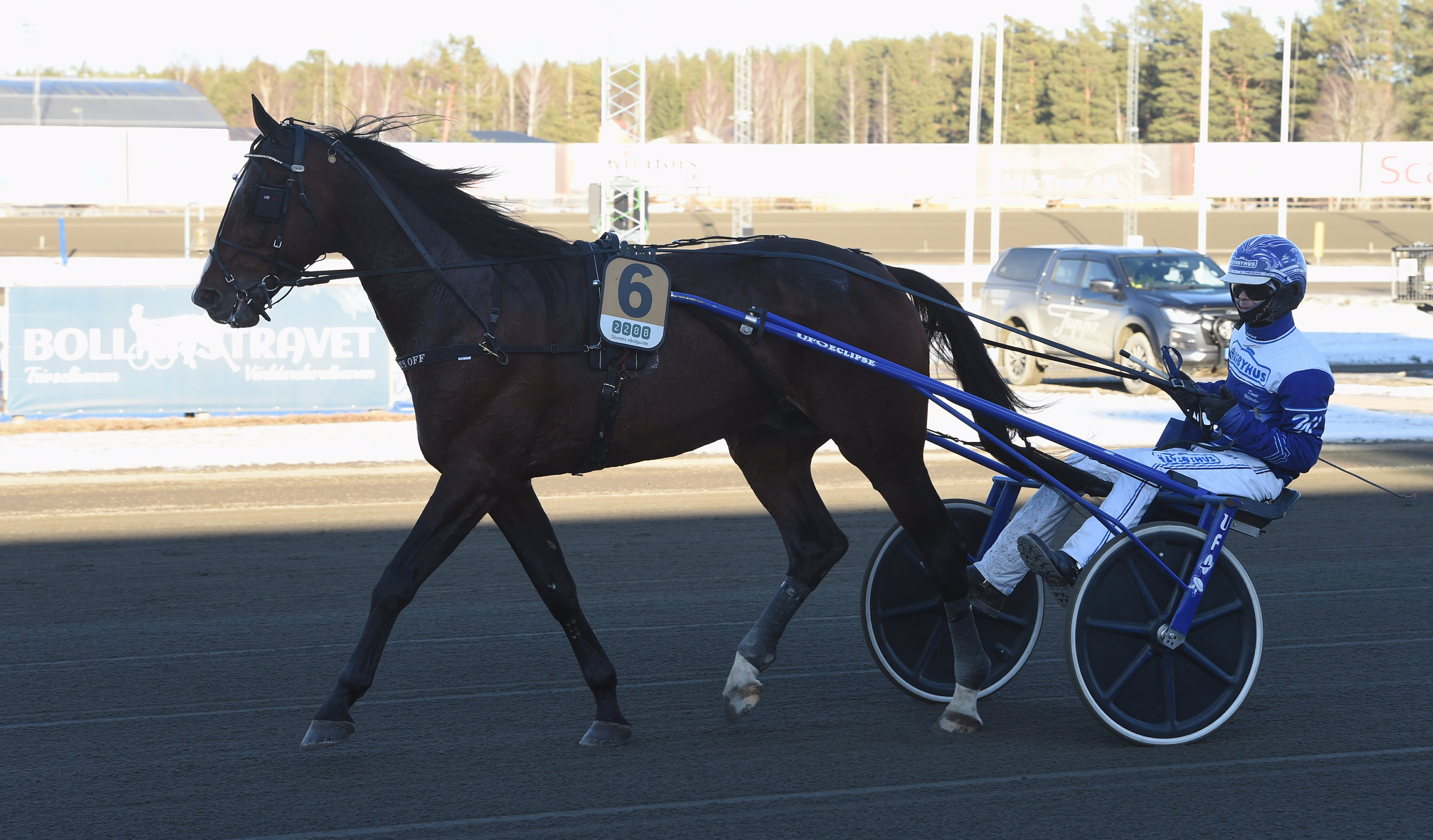 Profilen debuterade i Norge