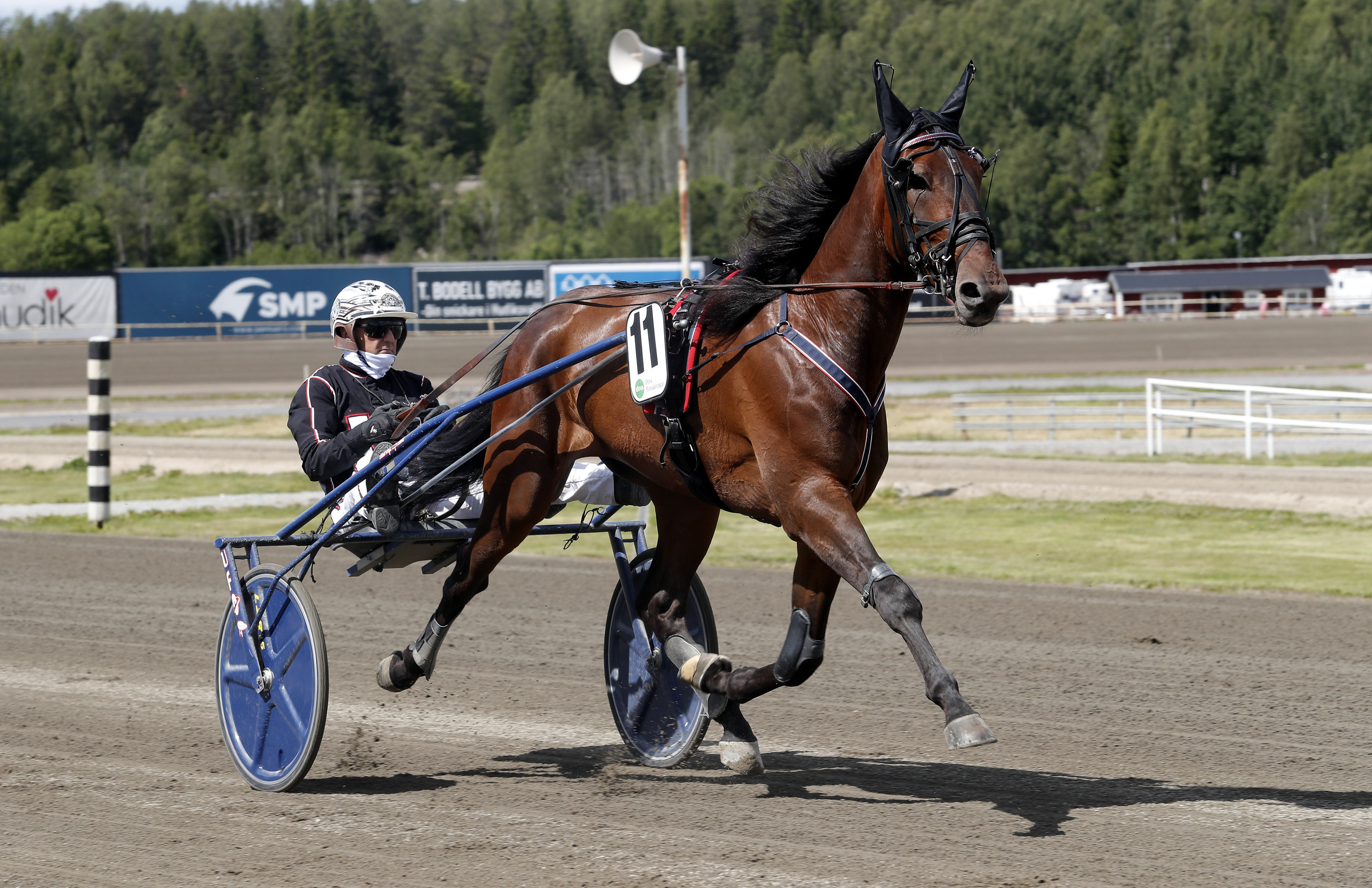 Ronno heat 1