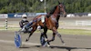 Ronno heat 1