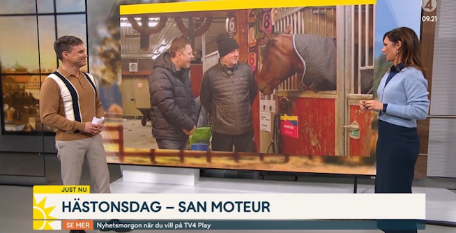 Skarmbild 2023 11 15 092158