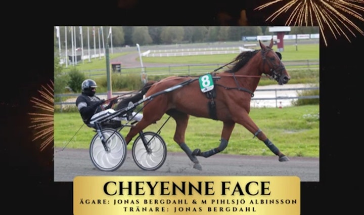 Skarmbild 2025 03 03 190631