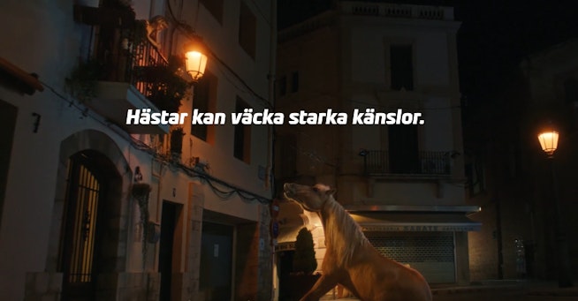 Skarmbild 2025 03 13 095621