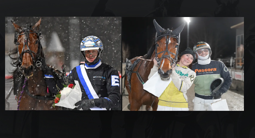 Skarmbild 2025 04 07 104115