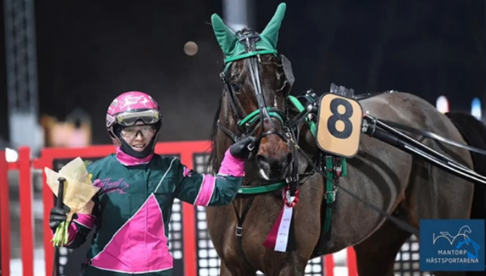 Skarmbild 2026 01 26 131037