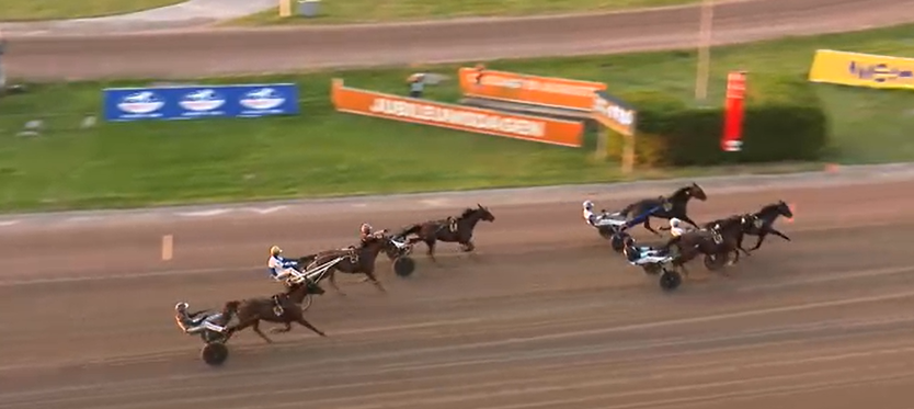 Keep Asking glänste på Solvalla