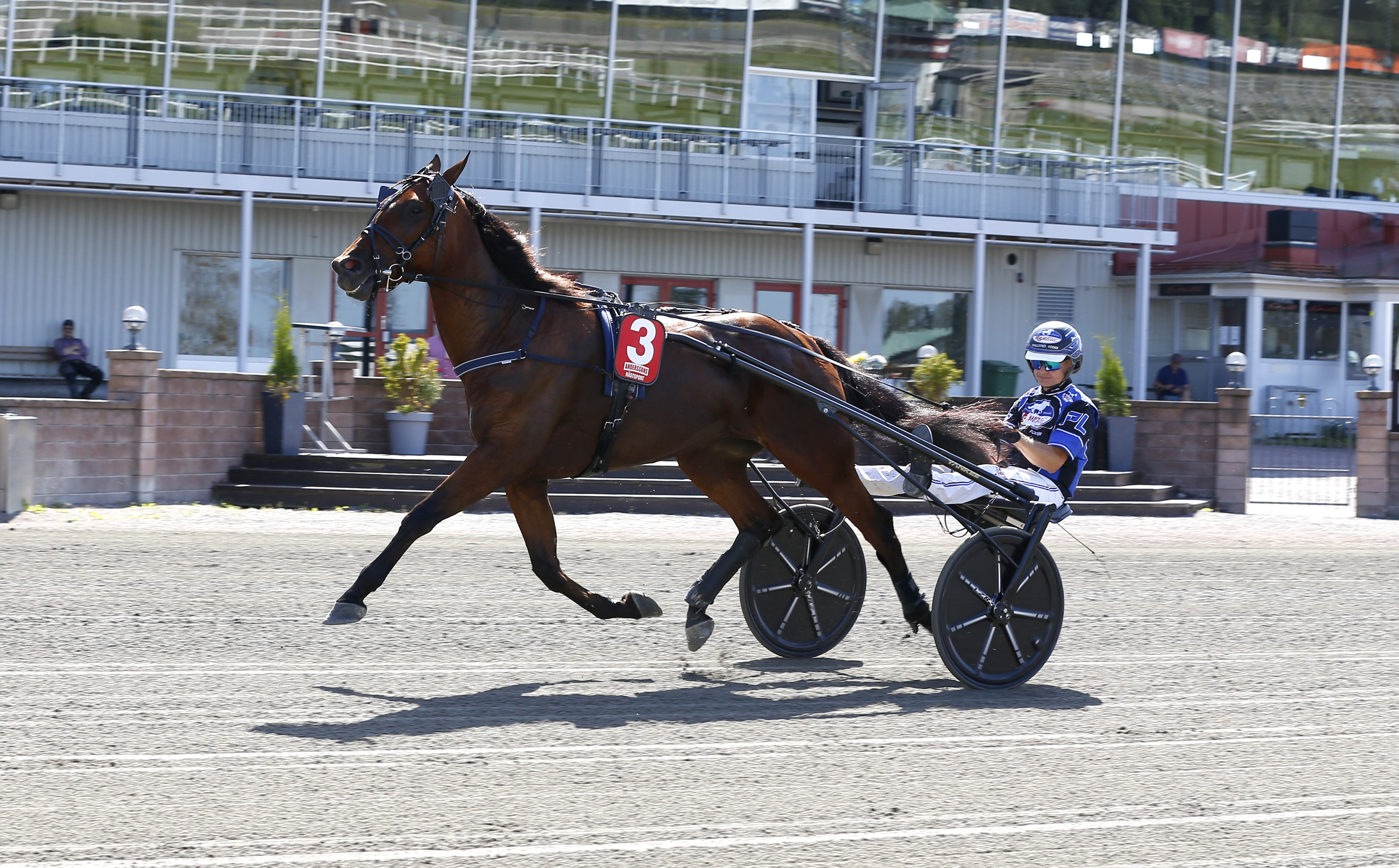 Sparkys Dream heat 1