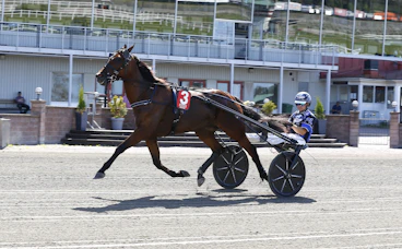 Sparkys Dream heat 1