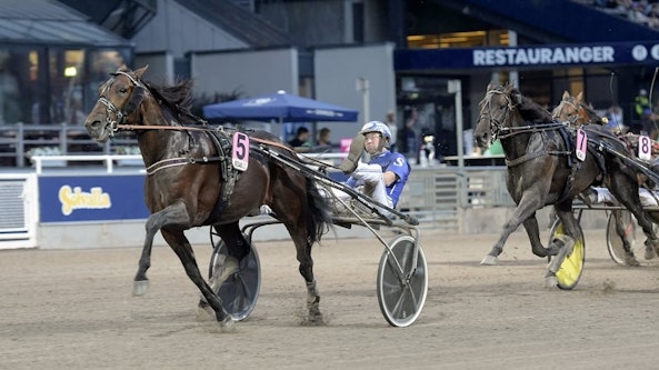 Staro 20 Mack 20 Crowe 20m C3 A5l