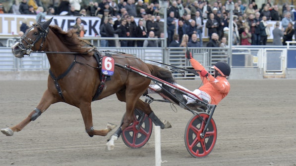 Steady Express mal 2