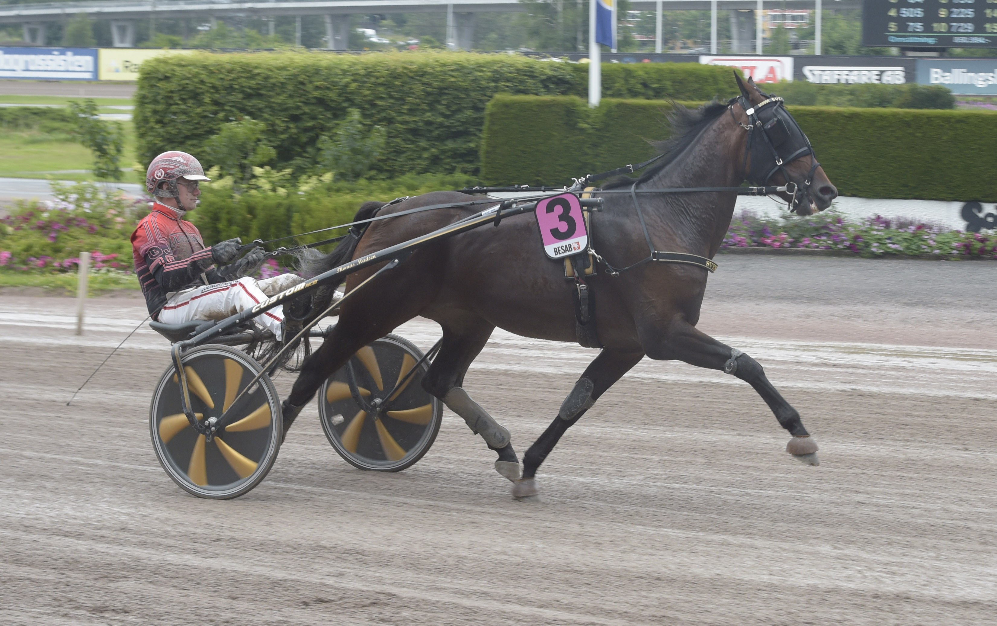 Sven Kuce heat