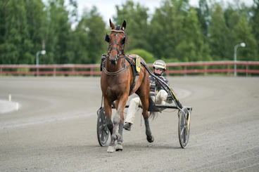 Swagger segerbild 01