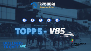 TOPP 5 STUGBOL