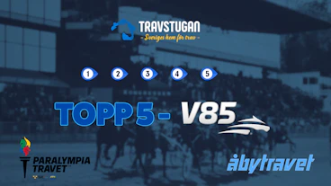 TOPP 5 STUGOAB
