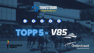 TOPP 5 STUGORE