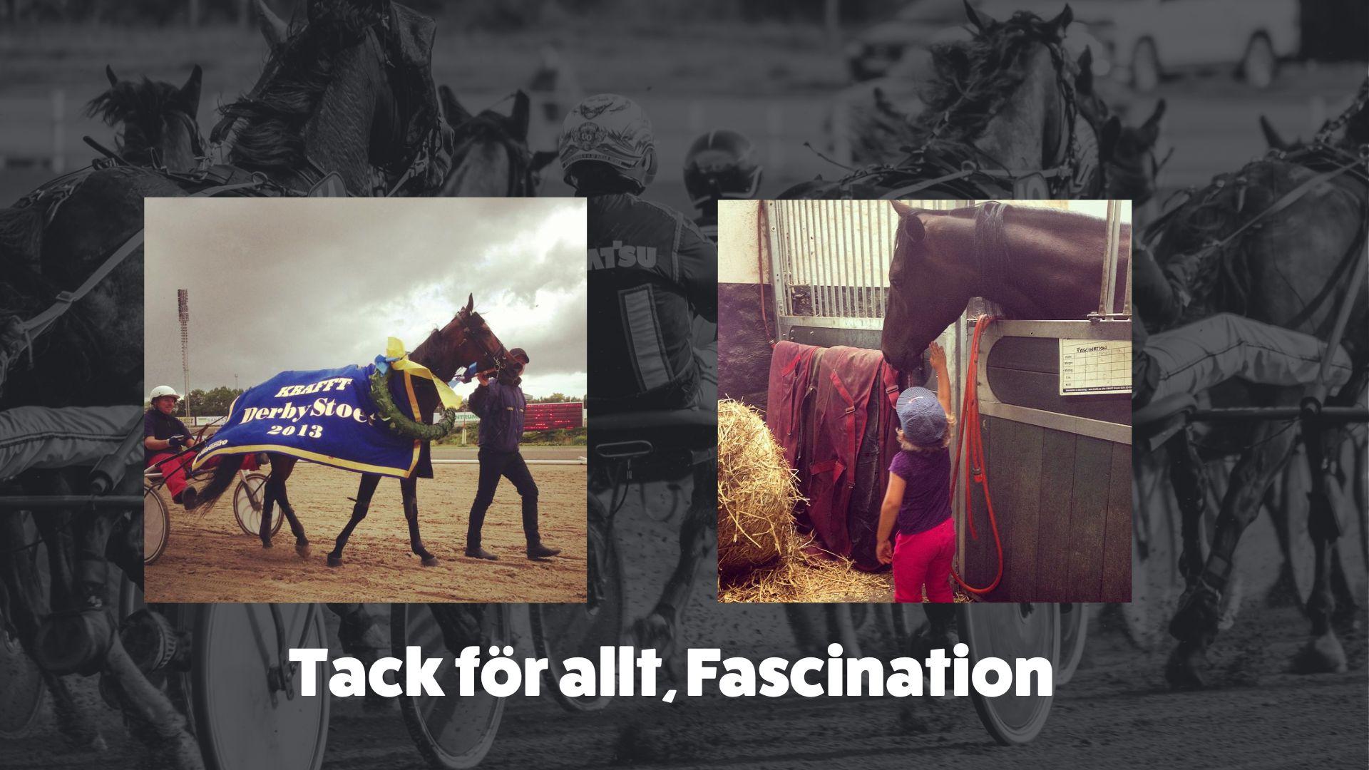 Tack for allt Fascination